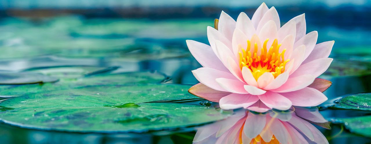 Counselling Services in Bolton, Bury & Greater Manchester
